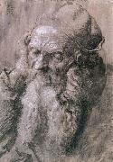 Albrecht Durer Study of a Man Aged oil painting artist